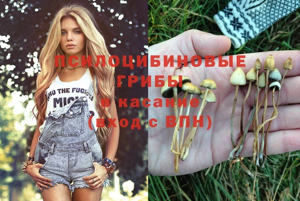 таблы Дмитров