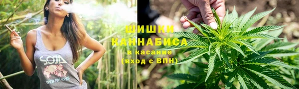apvp Дмитровск