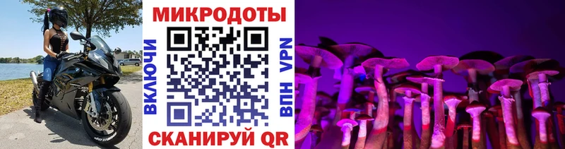 Псилоцибиновые грибы ЛСД  Салаир 